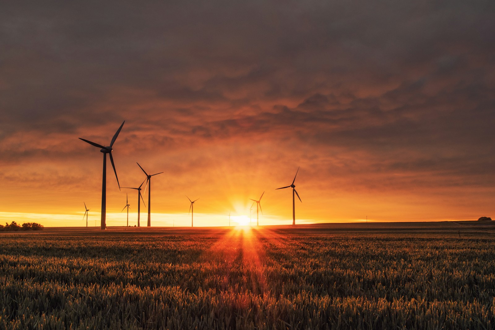 Parc éolien français au lever du soleil — transition énergétique ESG