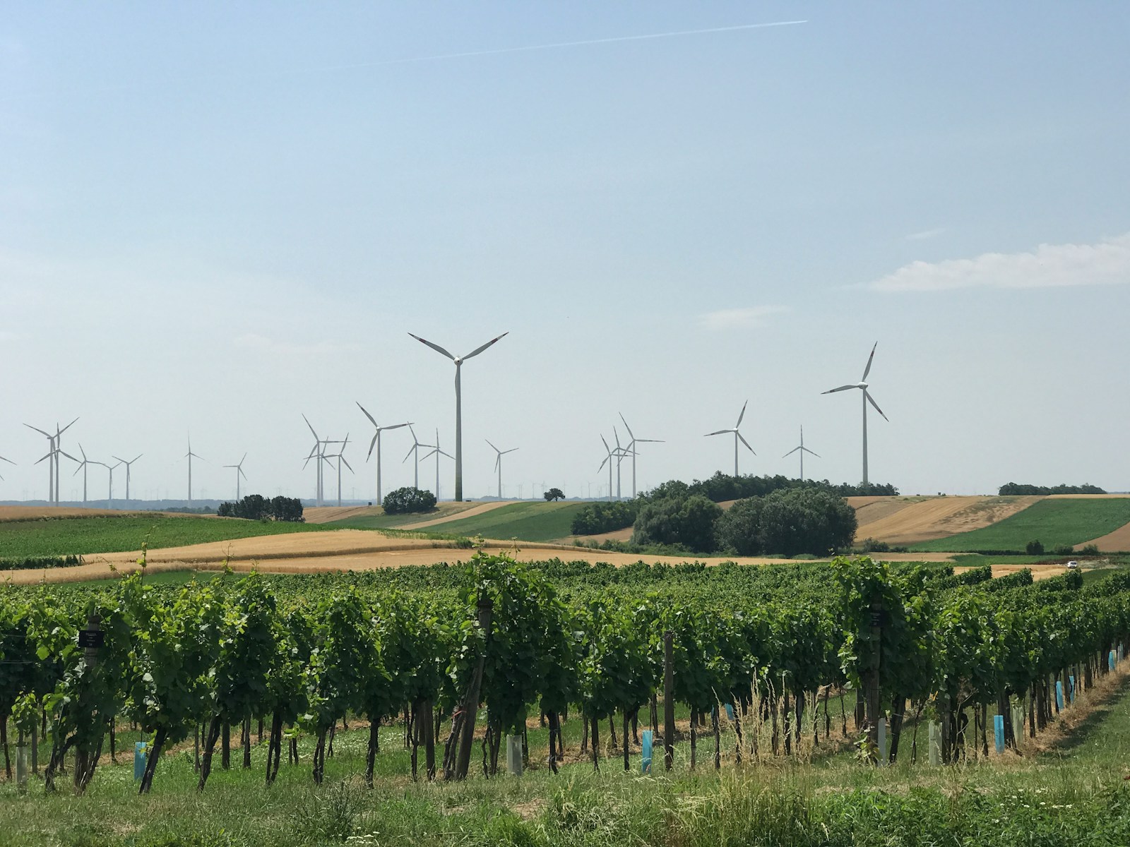 Éoliennes onshore